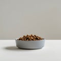 Minimalistic photo of a bowl of dog food on white background Royalty Free Stock Photo