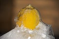 Minimalistic photography. A lemon in a block of ice. A halft abstract, photography 8