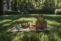 Minimalistic picnic setup on green grass with basket and blanket in natural park setting Royalty Free Stock Photo