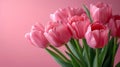 Minimalistic Pink Tulips on Pink Background with Copyspace AI Generated