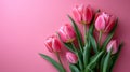 Minimalistic Pink Tulips on Pink Background with Copyspace AI Generated