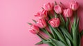 Minimalistic Pink Tulips on Pink Background with Copyspace AI Generated