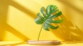 Minimalistic podium with summer fashion and luxury plant on yellow stone wall background