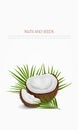 Minimalistic poster with realistic vector illustration of coconut and palm leaves