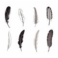 Minimalistic Quill Set: Black And White Feathers In Victorian-inspired Style