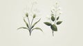 Minimalistic Scandinavian Style Botanical Poster By Reyna Sanji