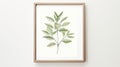 Minimalistic Scandinavian Style Botanical Poster With Watercolor Print