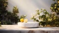 A minimalistic scene of marble white and gold podium display with natural lemon garden fruit