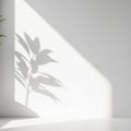 A minimalistic scene with a shadow of a plant projected onto a white wall Royalty Free Stock Photo