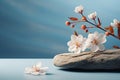 Minimalistic scene stone with flowers on a light blue background