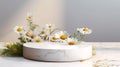 A minimalistic scene of white marble podium display with natural daisy flower.