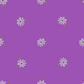 Minimalistic seamless pattern with simple style little flower silhouettes print. Pastel purple background Royalty Free Stock Photo