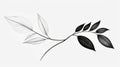 Minimalistic Serenity: A Graceful Illustration Of Black And White Leaves