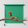 Minimalistic setup highlights the squirrel s alert posture and Royalty Free Stock Photo