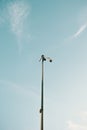 Minimalistic shot of a single vigilance camera in the top of a pole with the clean blue sky as the background Royalty Free Stock Photo