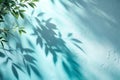 Minimalistic Simple Background with Foliage Shadow on Light Blue Wall Royalty Free Stock Photo