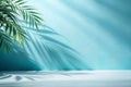 Minimalistic Simple Background with Foliage Shadow on Light Blue Wall Royalty Free Stock Photo