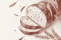 Minimalistic sliced bread illustration with wheat for bakery design Royalty Free Stock Photo