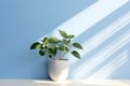 Minimalistic Soft Light Blue Background With Light Shadows From Plants On The Wall. Generative AI