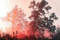 Minimalistic solarized landscape with silhouetted trees in ethereal red glow Royalty Free Stock Photo