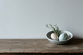 Minimalistic Still Life of Easter Eggs in a Ceramic Bowl on a Wooden Table Royalty Free Stock Photo