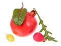Minimalistic still life with unexpected combination of red pomegranate fruit, pink radish, chard, arugula and grape berry
