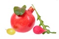 Minimalistic still life with unexpected combination of red pomegranate fruit, pink radish, chard, arugula and grape berry
