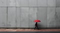 Minimalistic Street Photography: Woman With Red Umbrella In Japanese Style