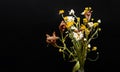 Minimalistic, stylish still life of dried flowers in glass vase. Atmospheric autumn composition with bouquet of beautiful dried f