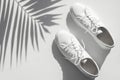 Minimalistic summer background with shoes. White women's leather sneakers, sun shade from tropical leaf on white Royalty Free Stock Photo