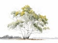 Minimalistic Superb Watercolor Illustration of Birch Tree AI Generated