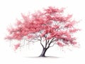 Minimalistic Superb Watercolor Illustration of Flowering Dogwood Tree AI Generated