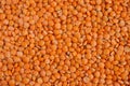 Minimalistic textured background of red lentils
