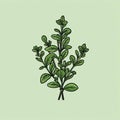 Minimalistic Thyme Vector Graphic With Elegant Linear Design Royalty Free Stock Photo