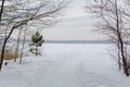 Minimalistic tranquil landscape with the lake has frozen hard, surrounded by naked trees