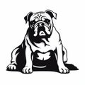 High Quality Black And White Bulldog Illustration Royalty Free Stock Photo