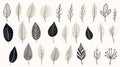 Minimalistic Vector Illustrations Of Black And White Leaves Royalty Free Stock Photo