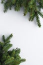 Minimalistic, vertical greeting card for Christmas wishes. Green conifer tree branches as a frame for copy space on white table