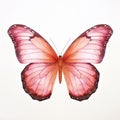 Minimalistic Watercolor Monarch Butterfly Wings In Blush Pink