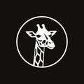 Minimalistic White Giraffe Logo Design With Dark Chiaroscuro Style