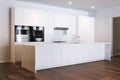 Minimalistic white kitchen in new room