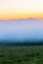 Minimalistic wild grass meadow under dence fog without tree at summer morning