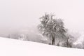 Minimalistic winter landscape in cloudy weather