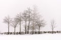 Minimalistic winter landscape in cloudy weather