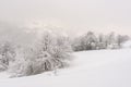 Minimalistic winter landscape in cloudy weather