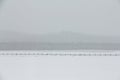 Minimalistic winter landscape Royalty Free Stock Photo