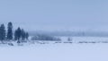 A minimalistic winter landscape in gray tones with lonely trees on the river bank against a foggy horizon. Royalty Free Stock Photo