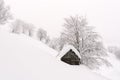 Minimalistic winter landscape with wooden house