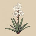 Minimalistic Yucca Vector Graphic With Historical Egyptian Iconography