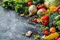 Minimize Food Waste by Composting Rotten Vegetables Instead of Discarding Them. Concept Composting,